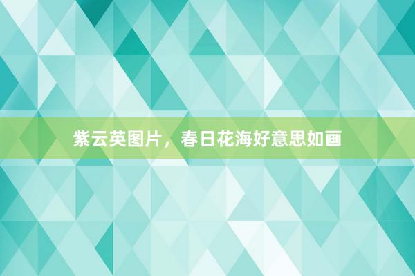 紫云英图片，春日花海好意思如画