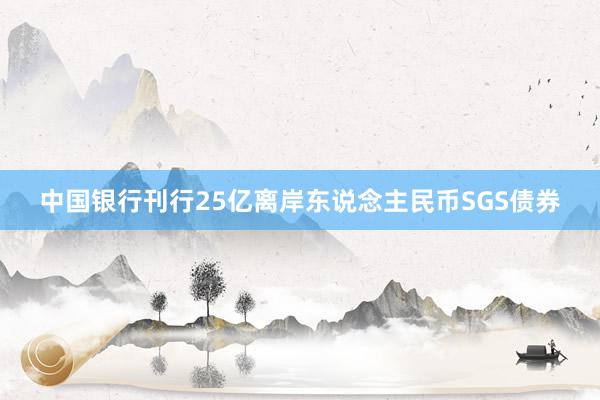 中国银行刊行25亿离岸东说念主民币SGS债券