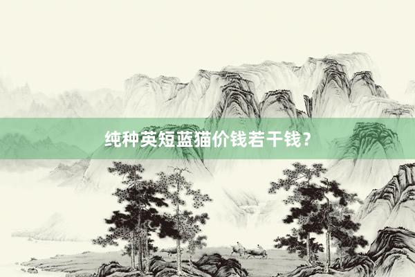 纯种英短蓝猫价钱若干钱？