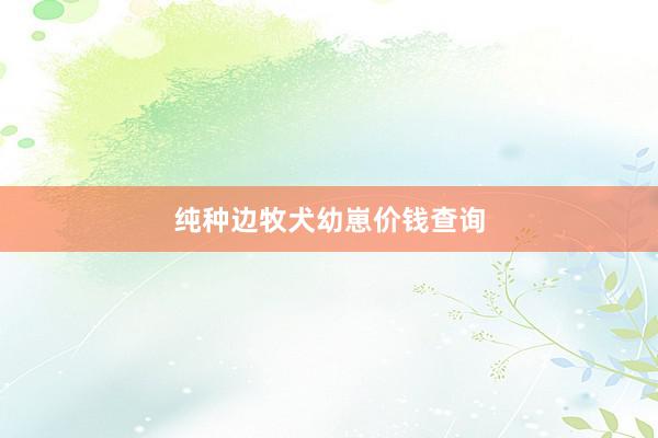 纯种边牧犬幼崽价钱查询